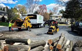 Best Tree Removal  in Winter Gardens, CA