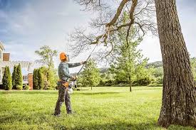 Best Pest Control for Lawns  in Winter Gardens, CA