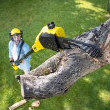 Best Commercial Tree Services  in Winter Gardens, CA