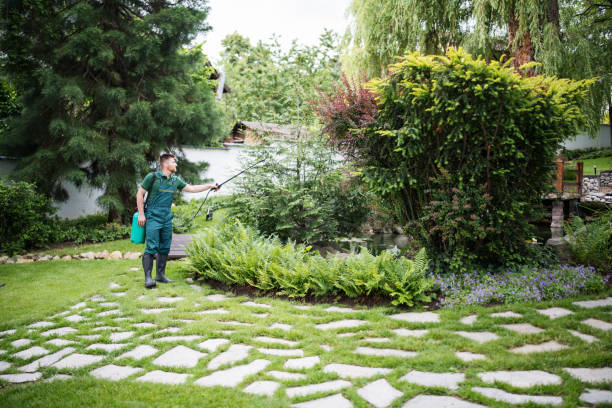 Best Weed Control  in Winter Gardens, CA