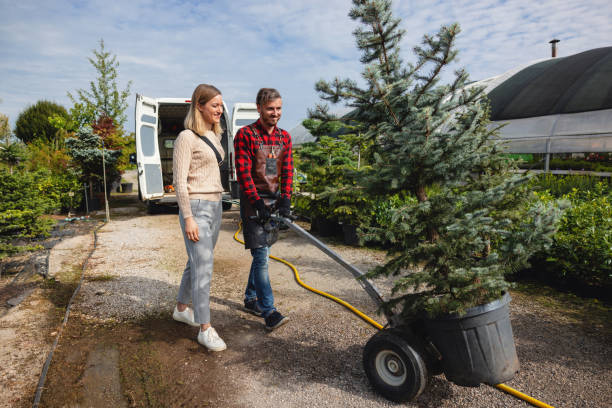 Best Lawn Mowing  in Winter Gardens, CA